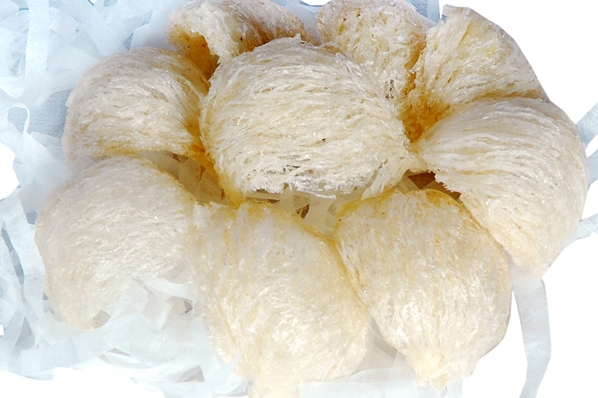 Tại sao nên đưa tổ yến sào vào chế độ dinh dưỡng cho trẻ em