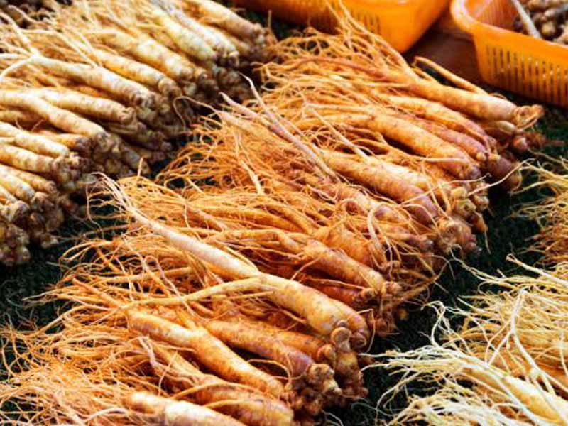 Tác dụng của trà hồng sâm với sức khỏe mỗi ngày