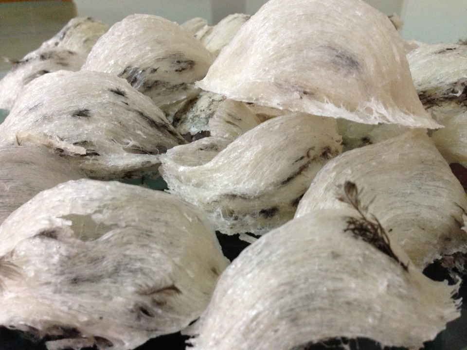 Bà bầu mang thai ăn yến như thế nào cho tốt