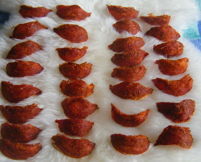 Thông tin hữu ích cần biết về huyết yến và hồng yến