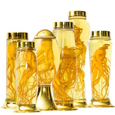 Địa điểm mua Sâm củ khô hàn quốc hộp thiếc uy tín