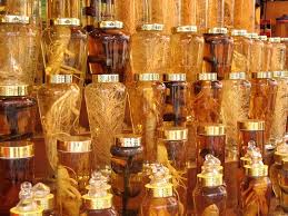 Dùng nhân sâm tươi Hàn Quốc như thế nào để hiệu quả?