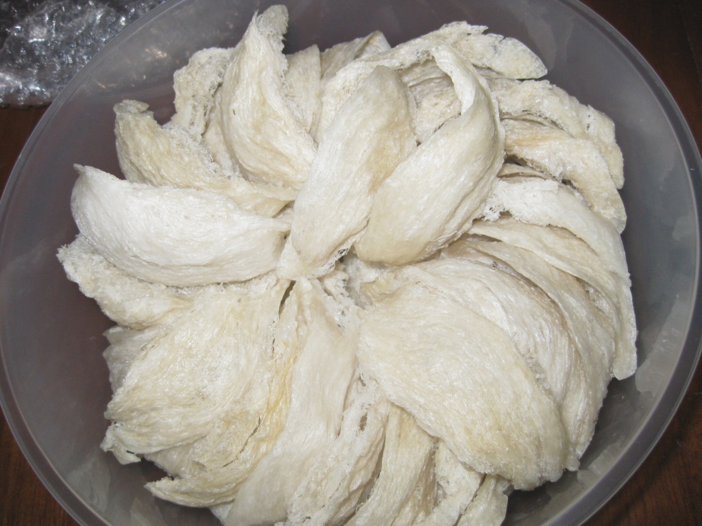 Yến sào đối với người cao huyết áp