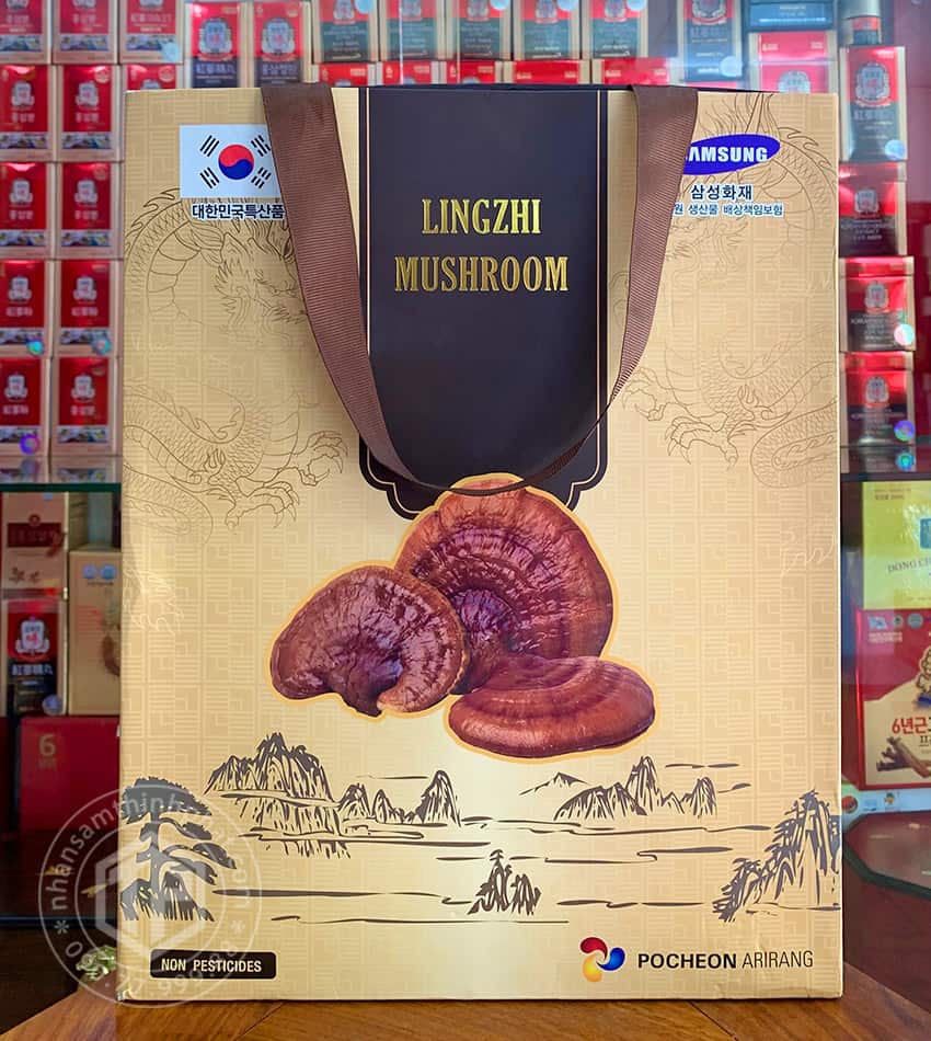 Nấm linh chi Hàn Quốc Pocheon 1kg