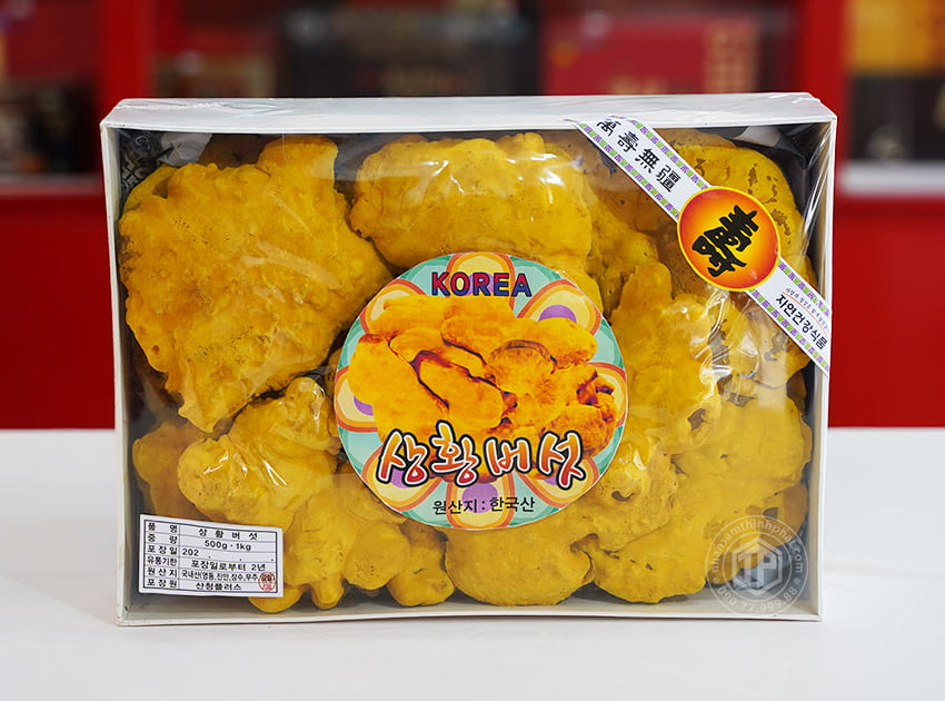 Nấm Thượng Hoàng Hàn Quốc 365 mẫu hộp quà tặng 1kg