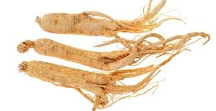 Nhân sâm tươi hàn quốc 6 năm tuổi