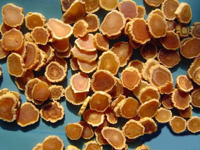 Địa chỉ bán hồng sâm thái lát khô uy tín tại TPHCM